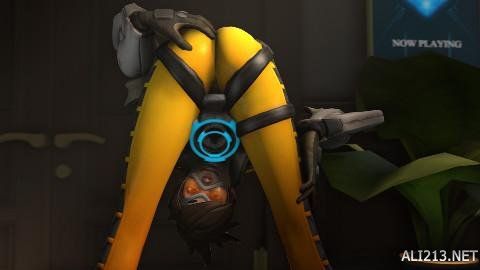 格鲁特的夺 格鲁特的夺