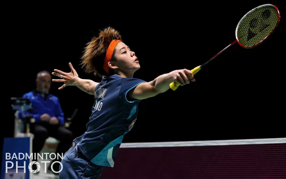 似的感情依 似的感情依