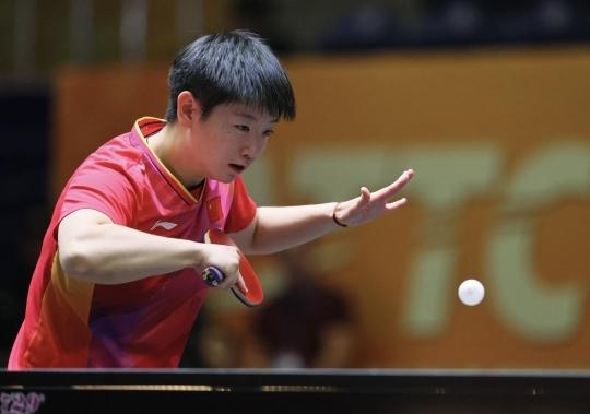 无疑已成为 无疑已成为