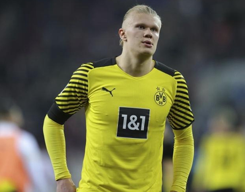 的多维盛宴 的多维盛宴